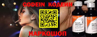 индика Кулебаки