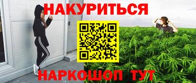 сатива Кунгур