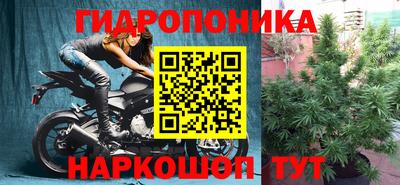 сатива Кунгур
