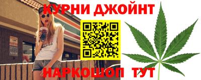 сатива Кунгур