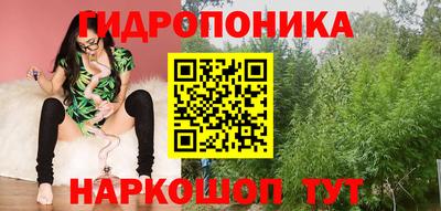 индика Кулебаки