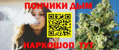 индика Кулебаки