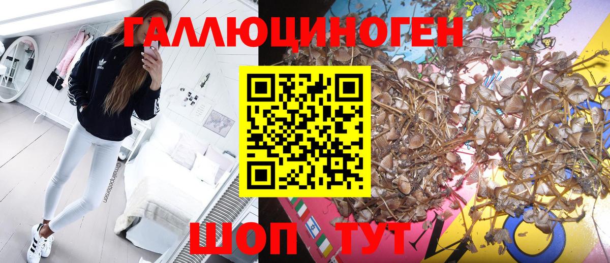 Псилоцибиновые грибы прущие грибы Учалы