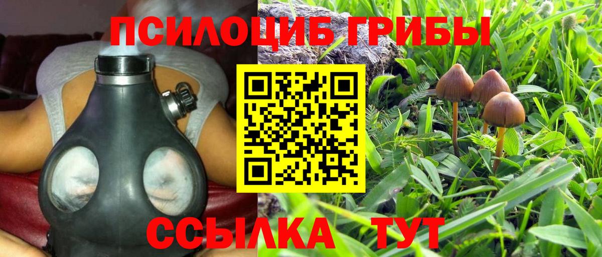 Учалы  Псилоцибиновые грибы мицелий  Псилоцибиновые грибы Psilocybine cubensis  Вход с VPN 